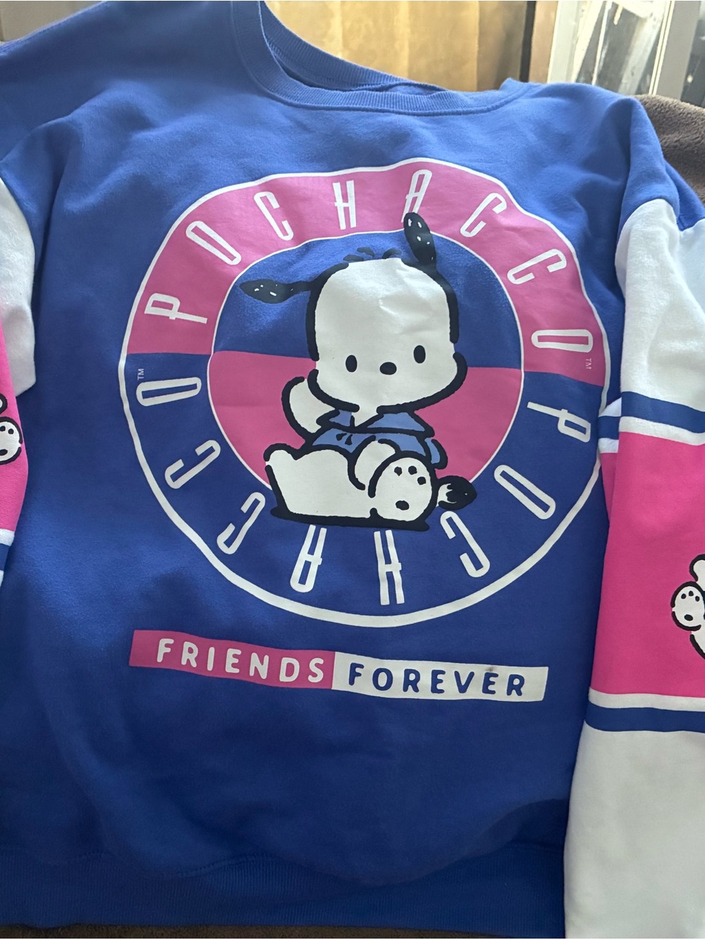 Friends Forever Graphic Sweatshirt - Blue & Pink